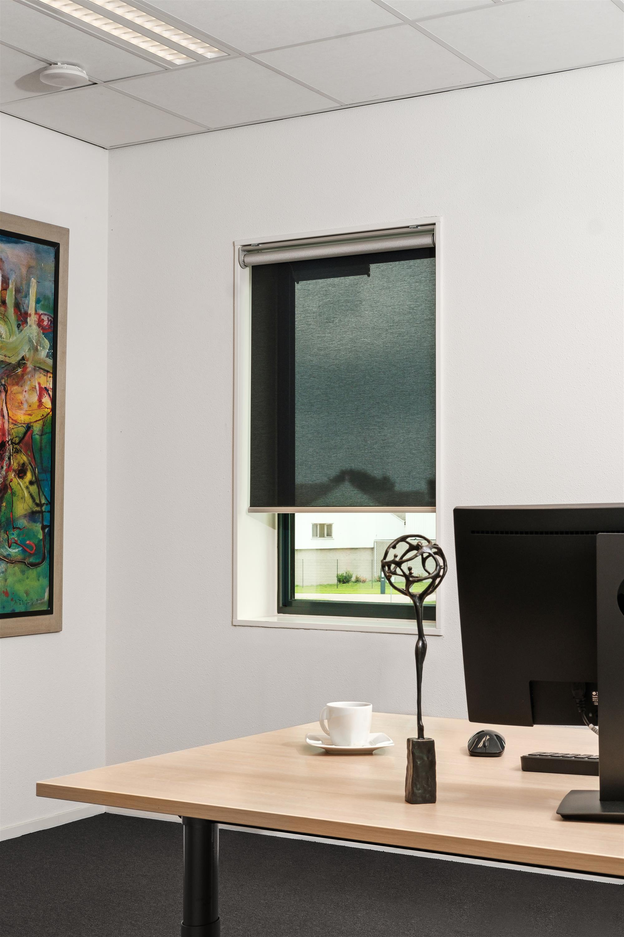 SilverScreen Verosol in werkkamer